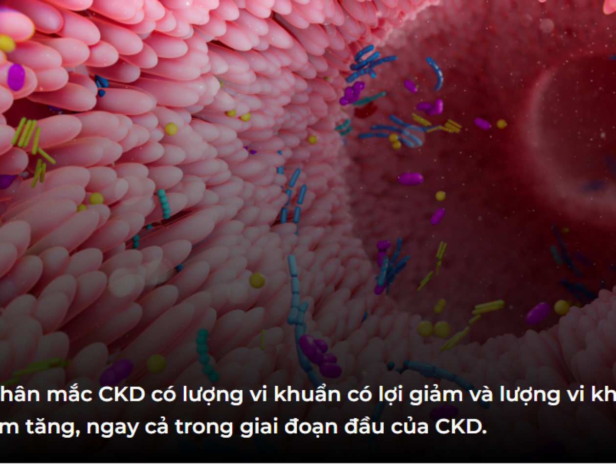 Hệ vi sinh đường ruột khỏe mạnh là thành phần quan trọng của sức khỏe thận