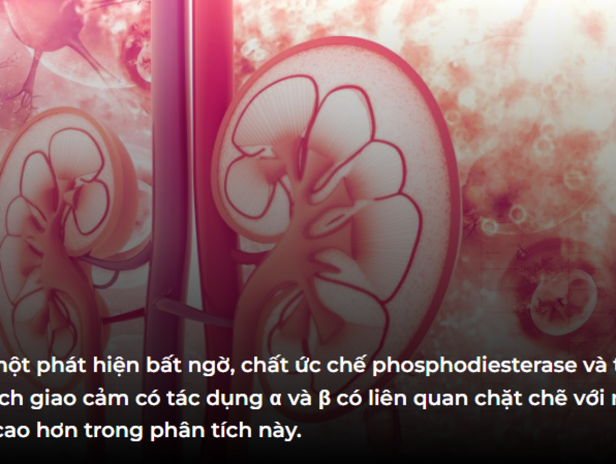 Các loại thuốc làm tăng nguy cơ AKI ở bệnh nhân ICU đã được xác định